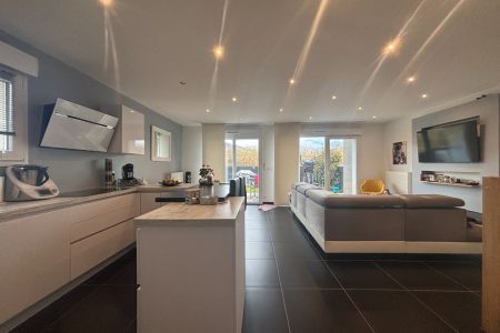Maison contemporaine avec suite parentale et jardin à Cranves-Sales